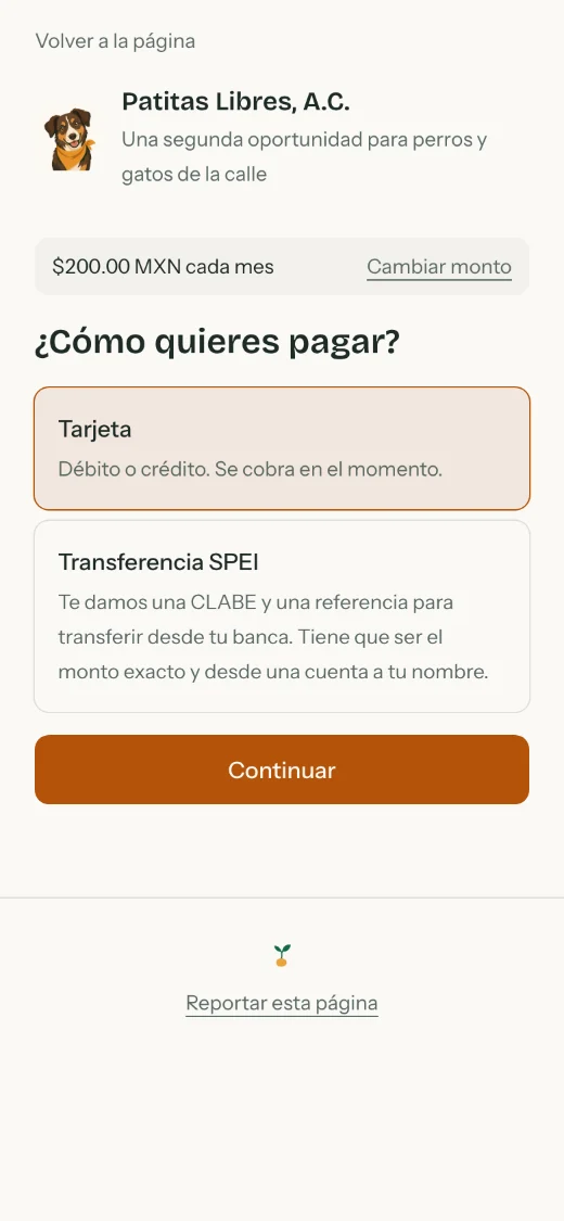 Paso Cómo quieres pagar con las opciones de tarjeta y transferencia